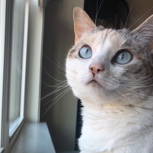 Meet your Posher, Annagayle